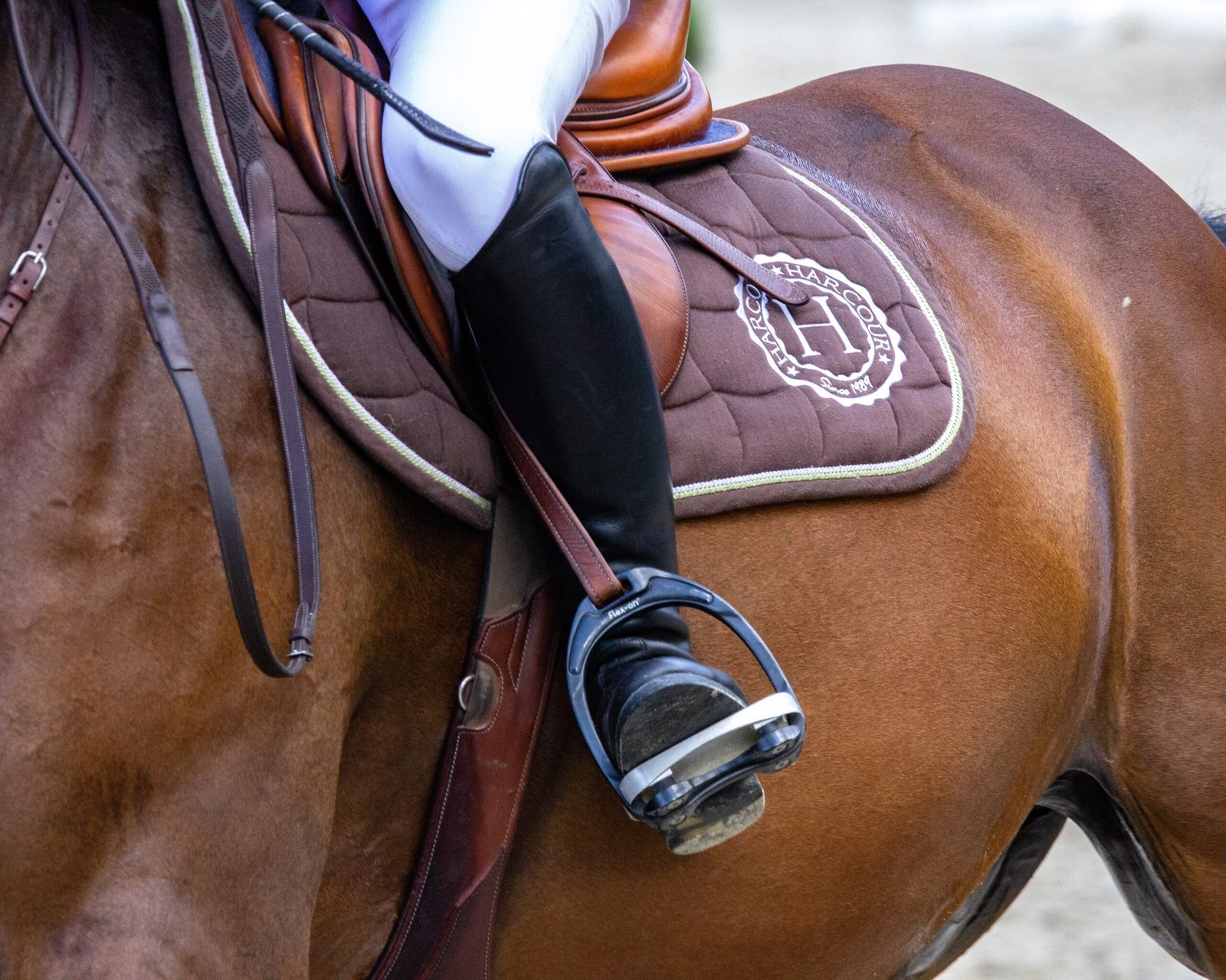 Horse Riding 2 Horse Riding 2 scaled 1 2